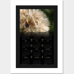 Goat's Beard • 2024 Year-at-a-glance Calendar Posters and Art